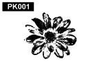 植物pk001