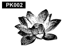 植物pk002
