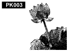 植物pk003