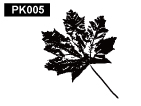 植物pk005